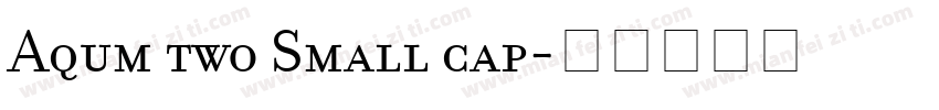 Aqum two Small cap字体转换